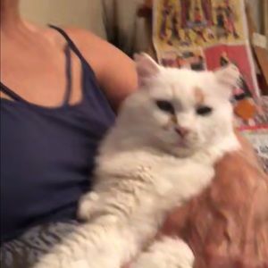 Meet your Posher, Eva-grace